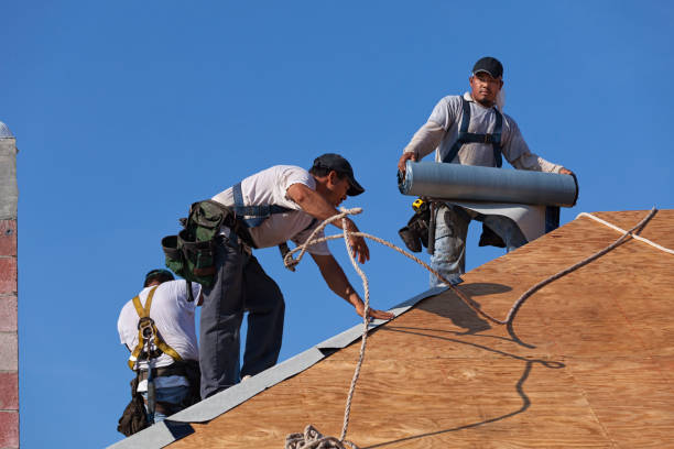 Best Roof Maintenance Services  in Boonville, MO